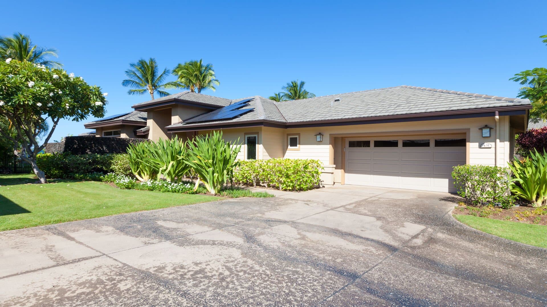 Seabreeze - Image 36