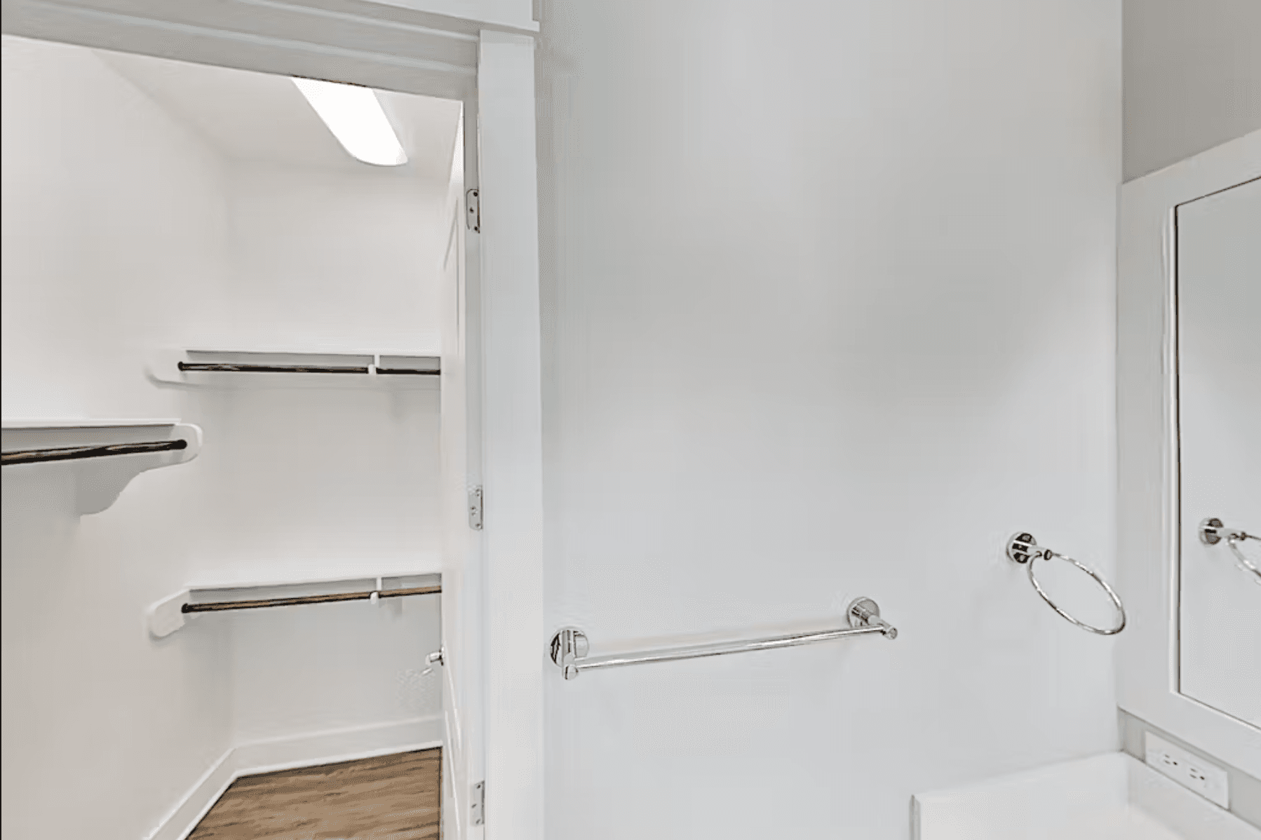 Wild Octopus Home - Image 15