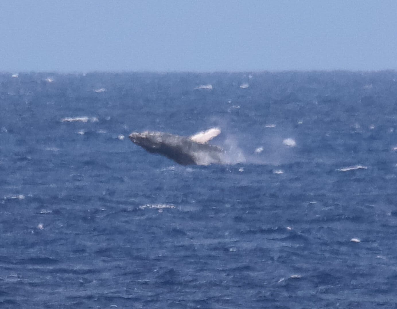 Coastal Dreams Villa - Image 46