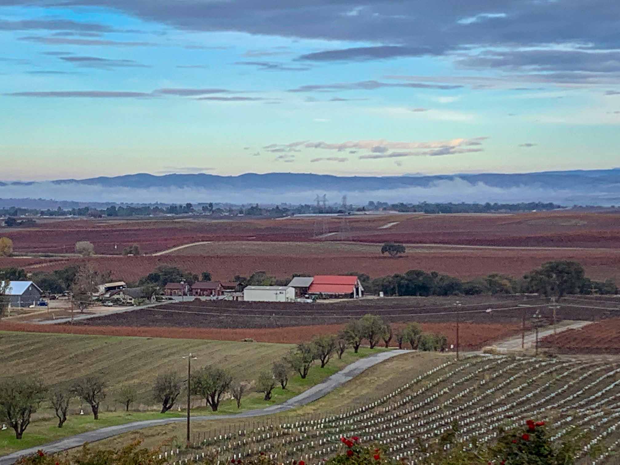 Hidden Acre Vineyard Estate - Image 73