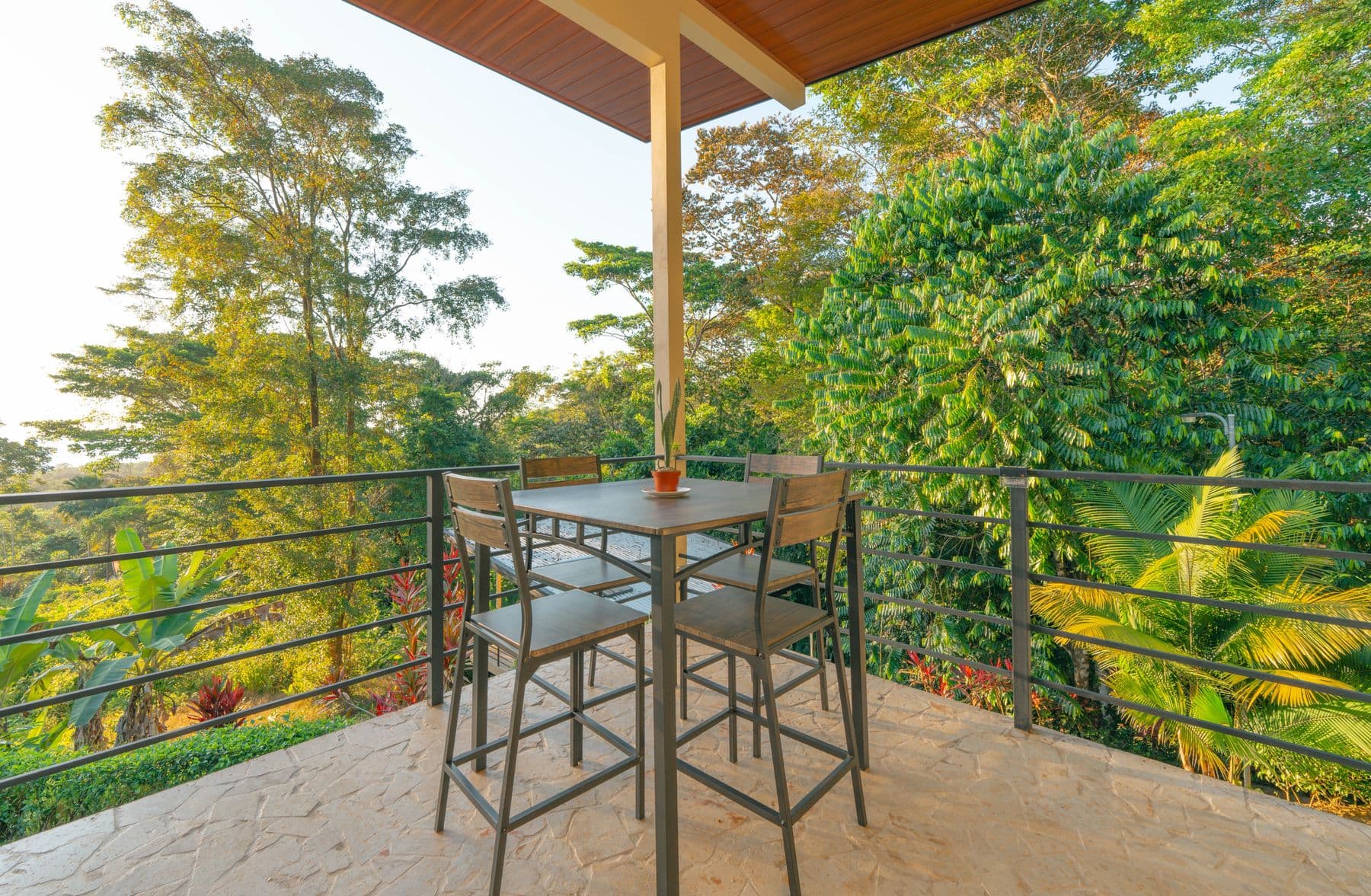 Ballena Bliss - Image 23