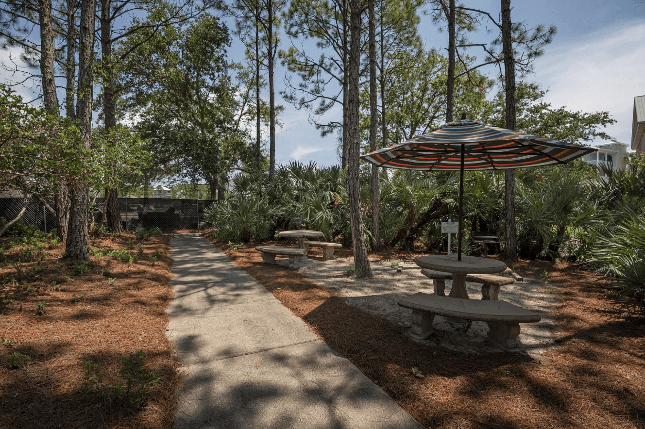 Endless Summer - Image 19