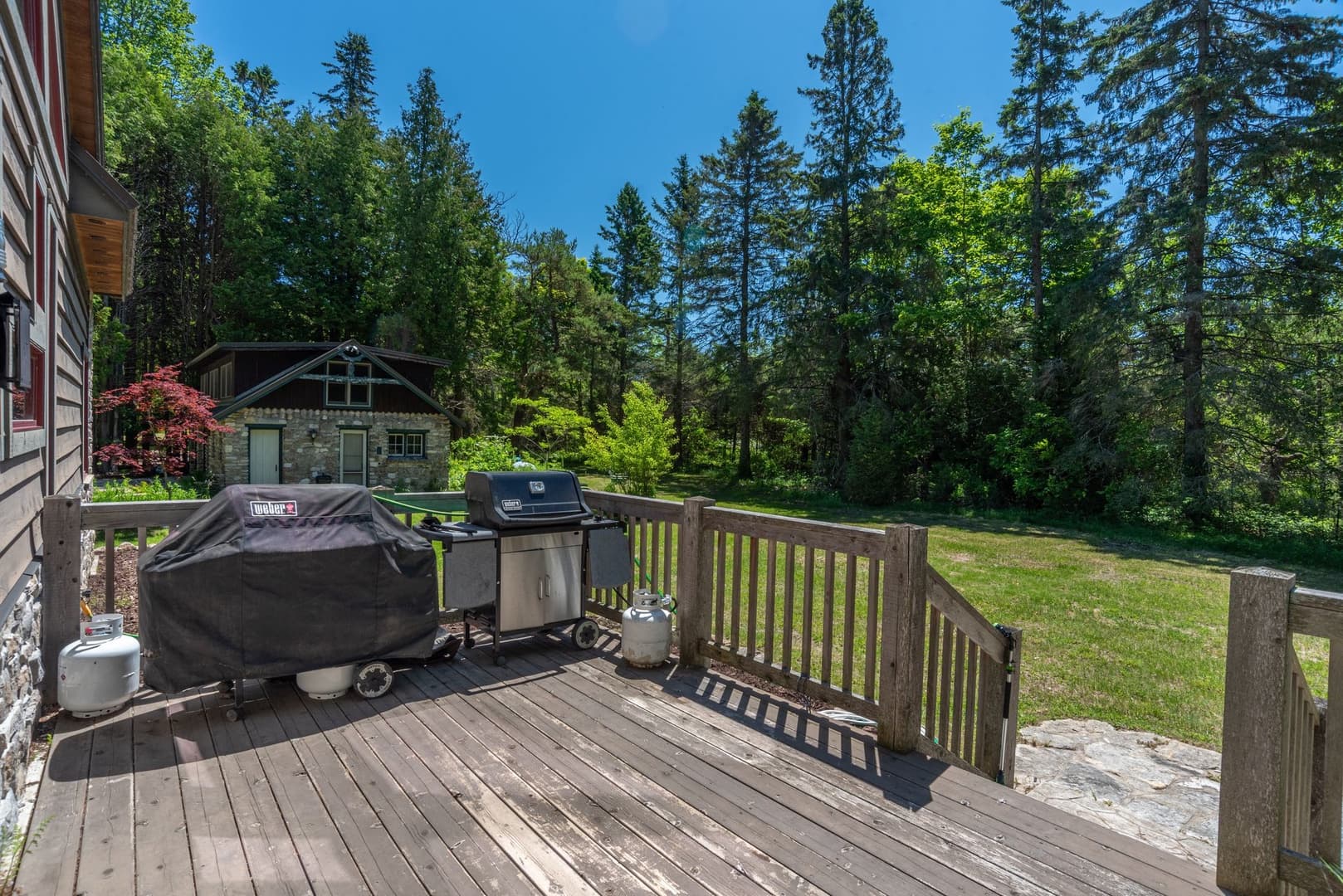 Kangaroo East Shore - Image 23