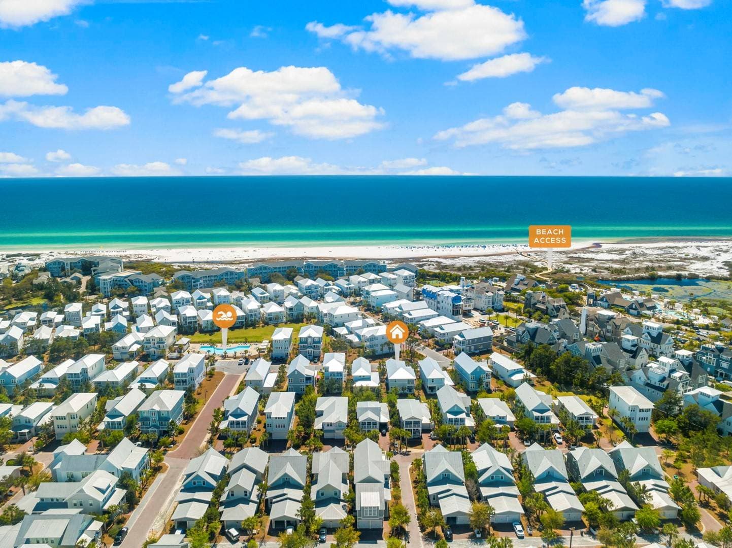 Palm Tree Paradise - Image 57