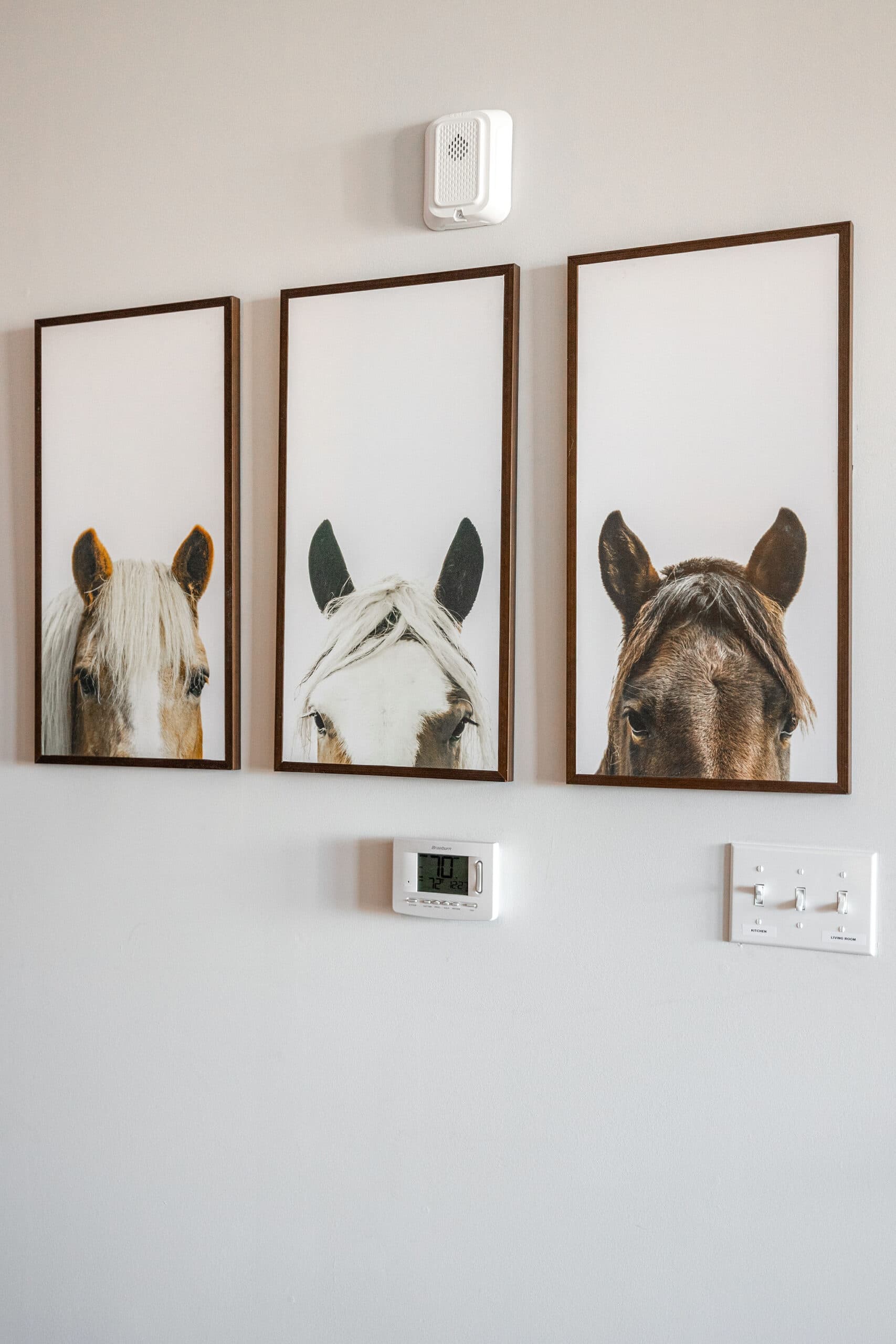 Honky Tonk Party Pads - 2 Units - Image 52