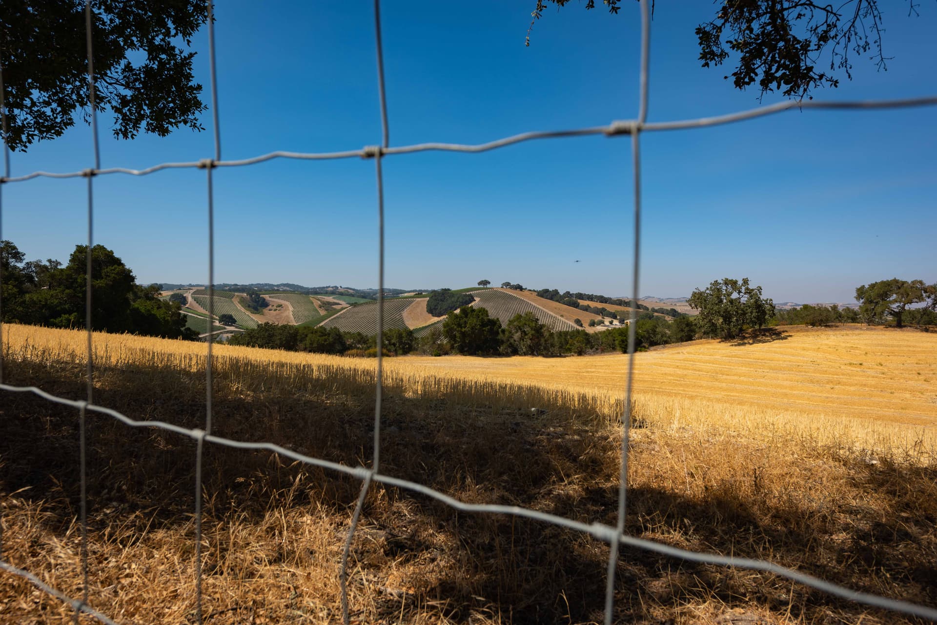 Heartview Cottage Home - Image 3