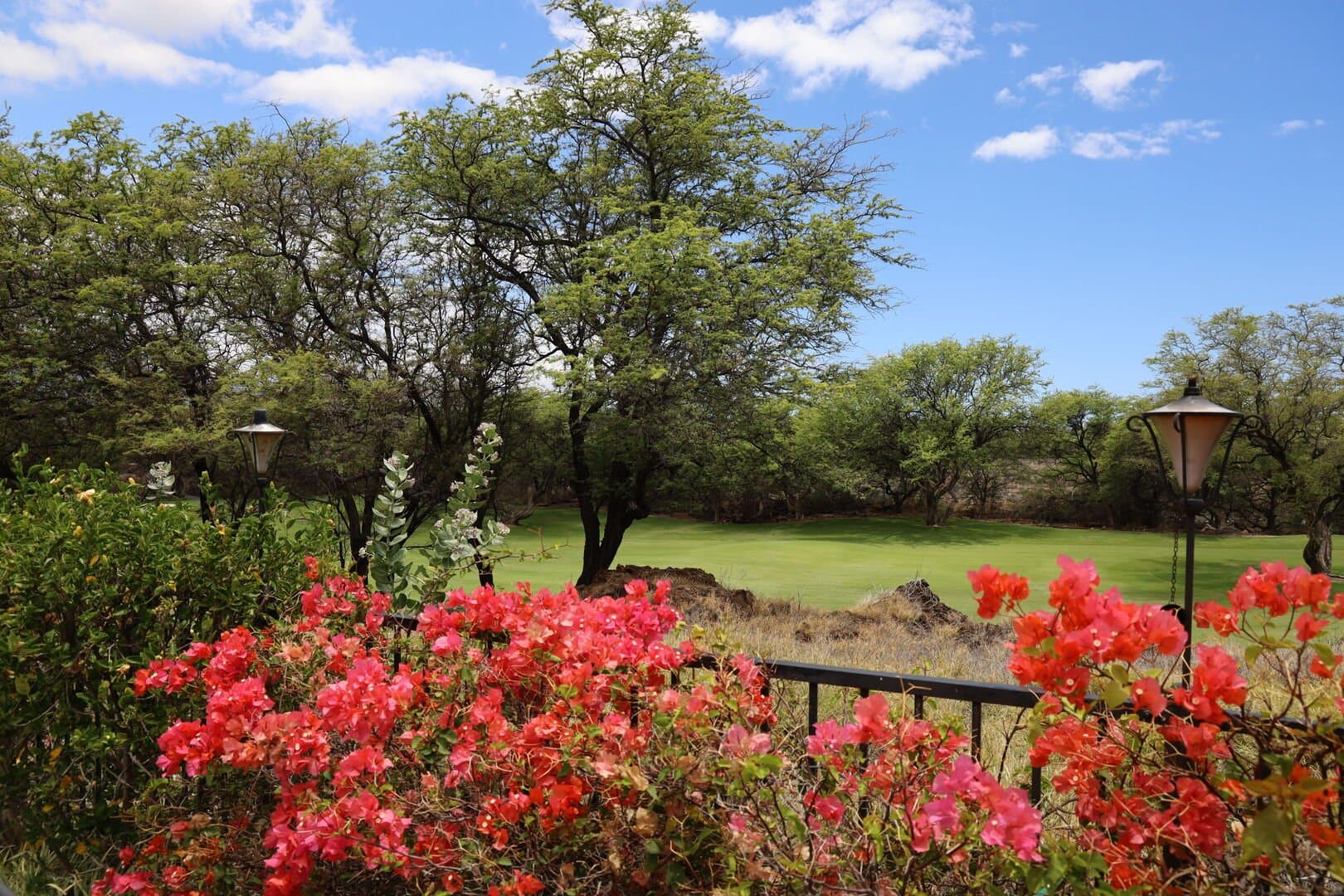 Seabreeze - Image 45