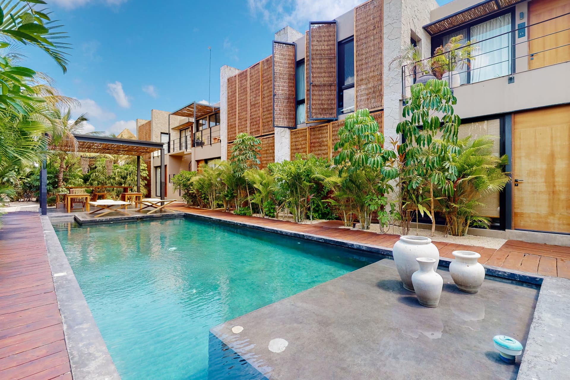 Fronds and Sun - Image 4