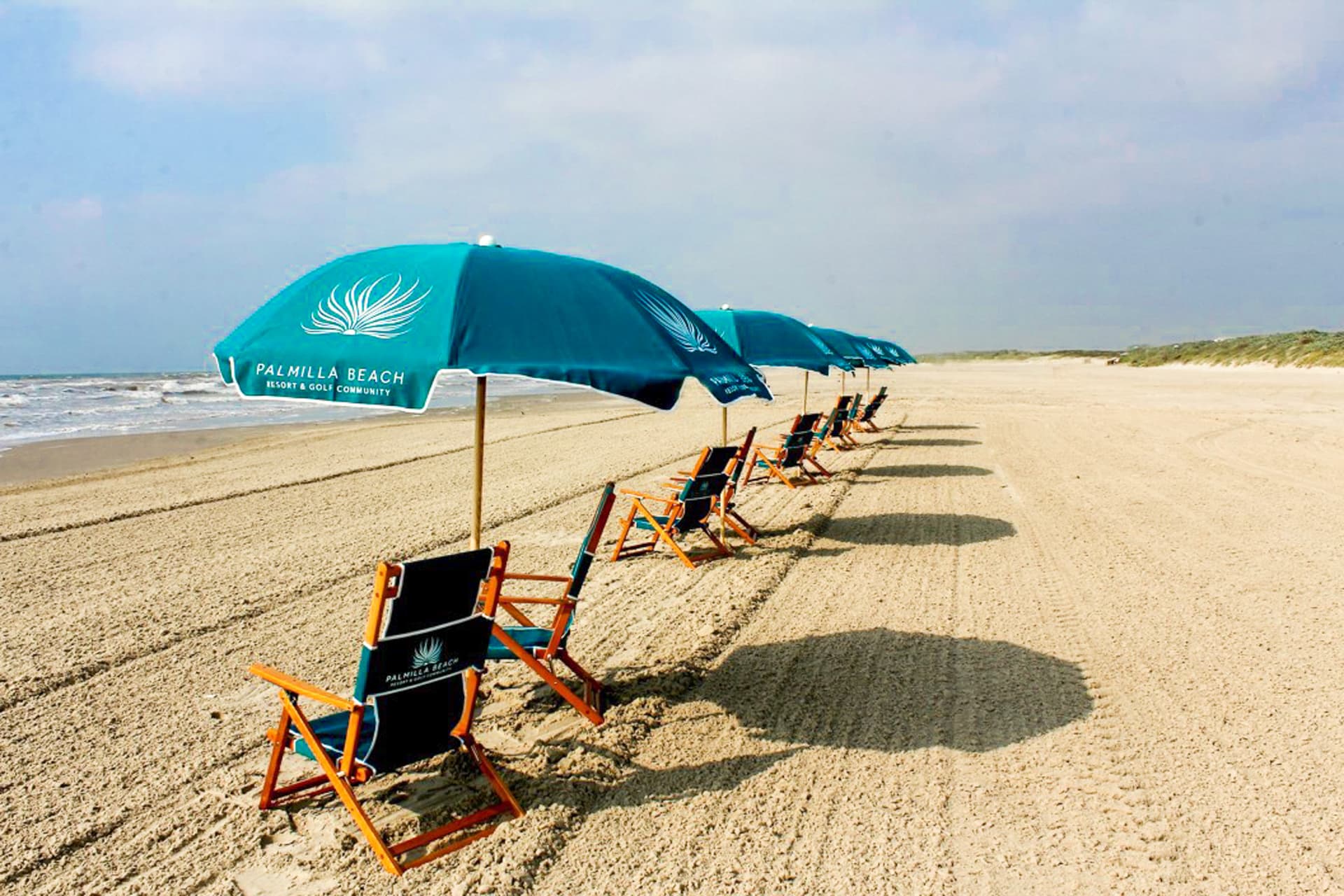 Crab Manor - Image 25