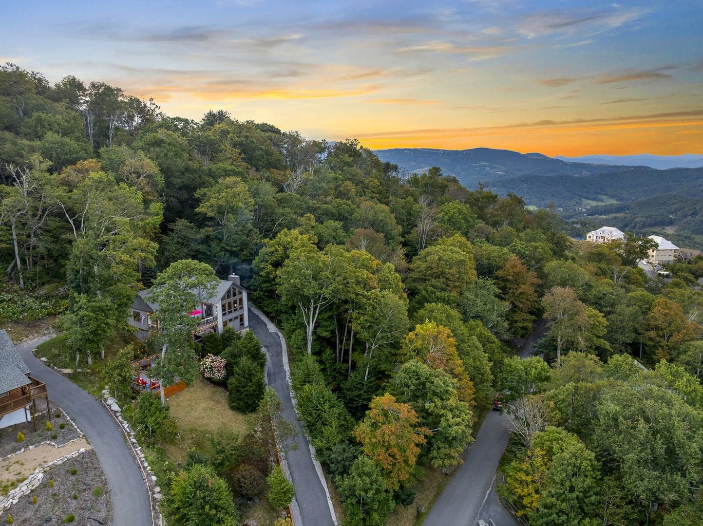 First in Sugar - Image 3