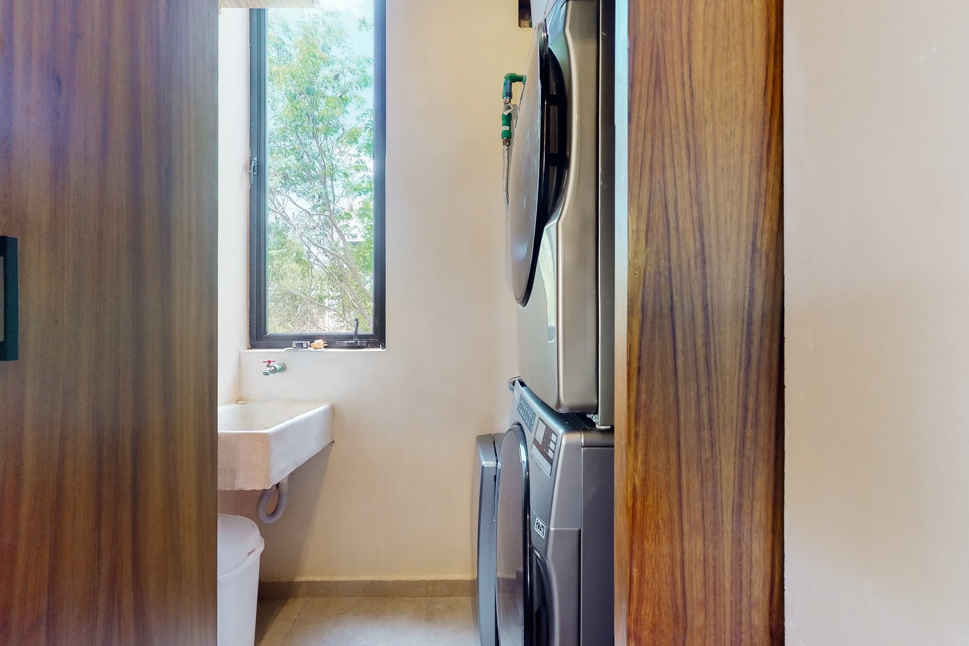 Fronds and Sun - Image 16