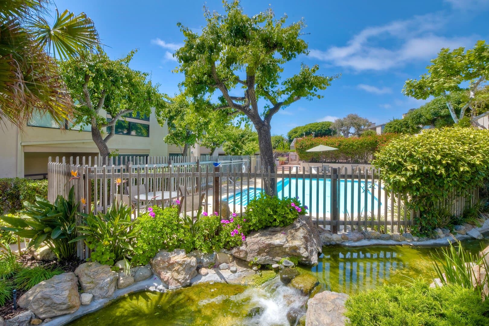 Seascape Sur #69 - Image 31