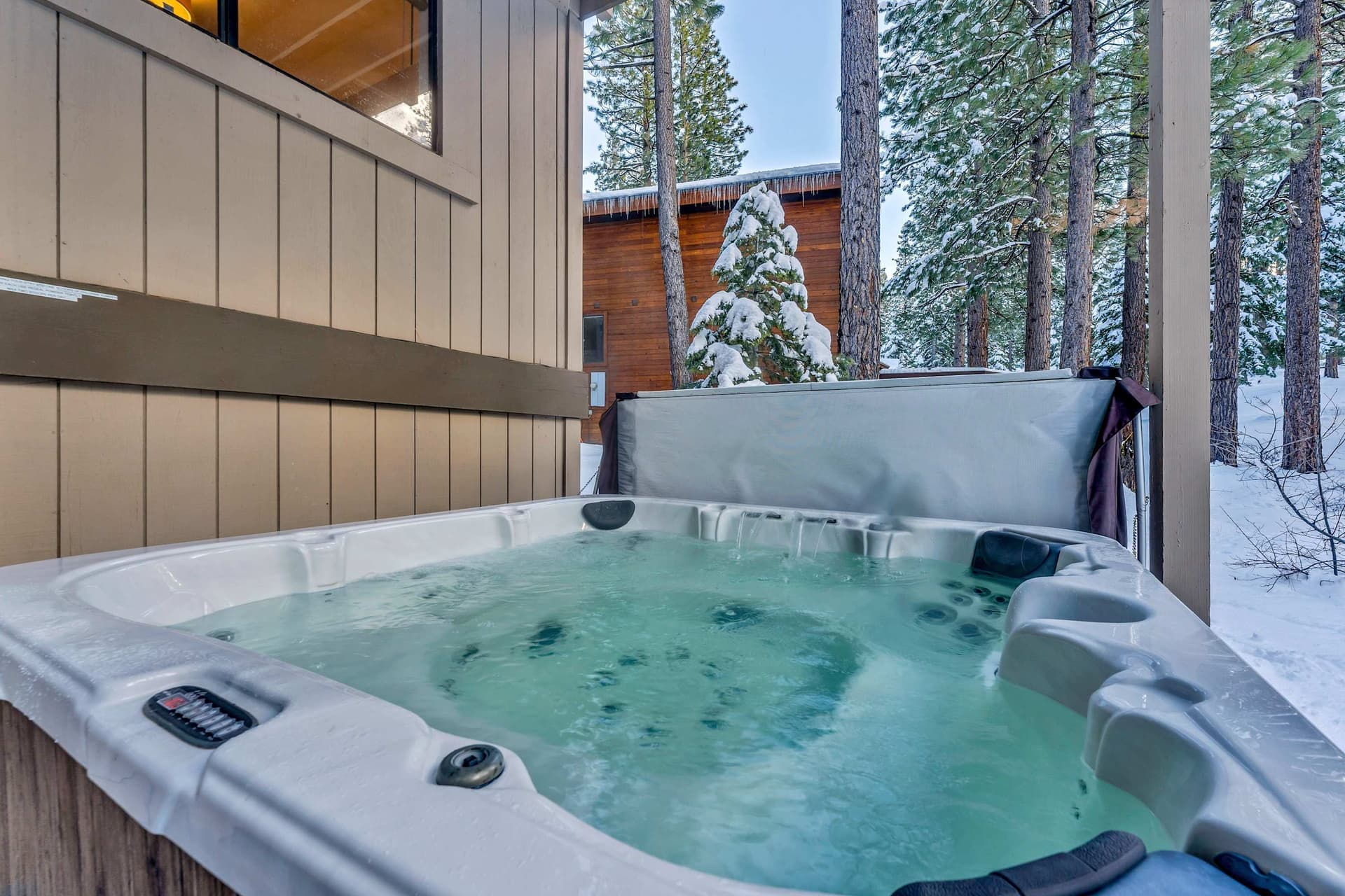 Lazy Bear - Image 34