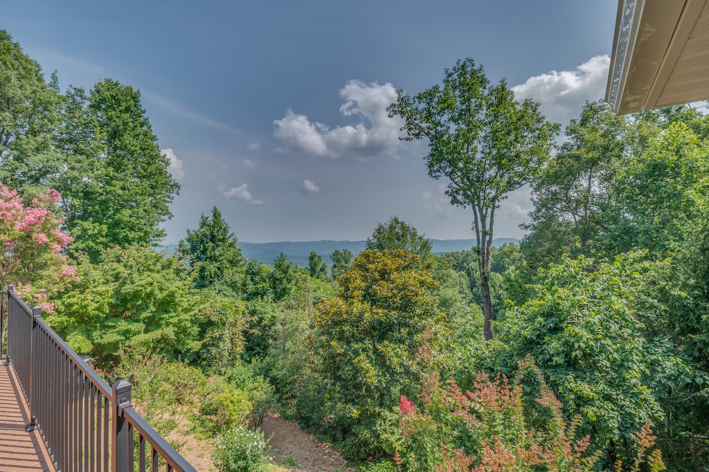 High Society - Image 16