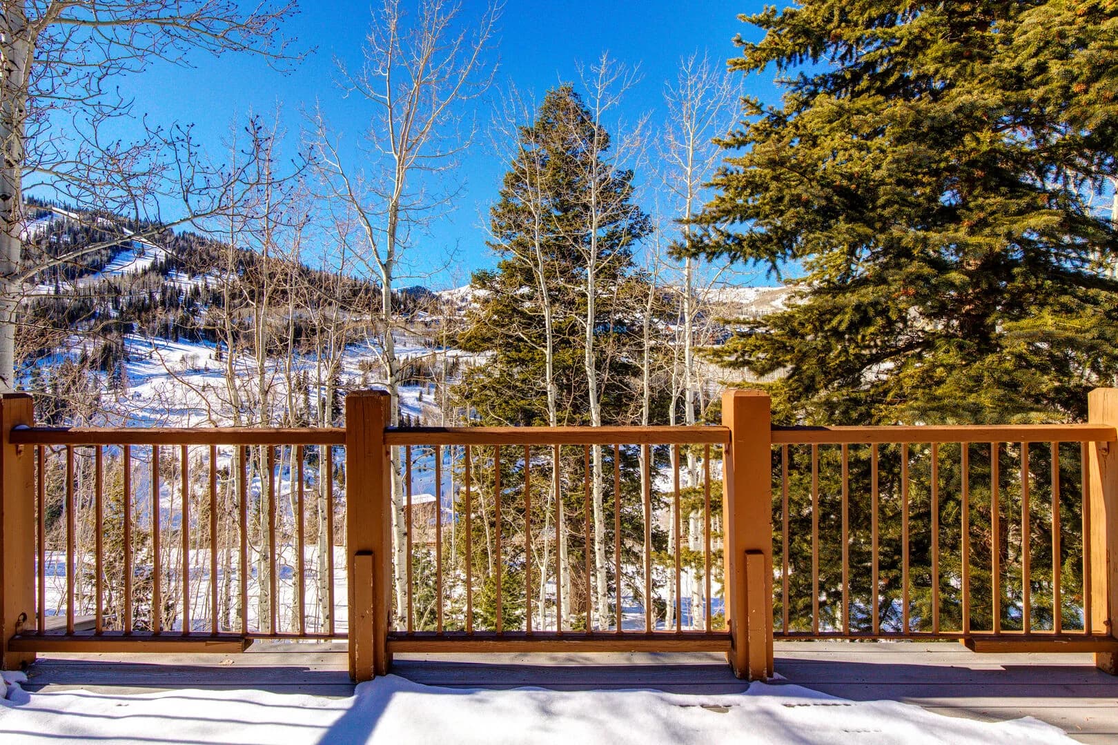 Belle Home - Image 44