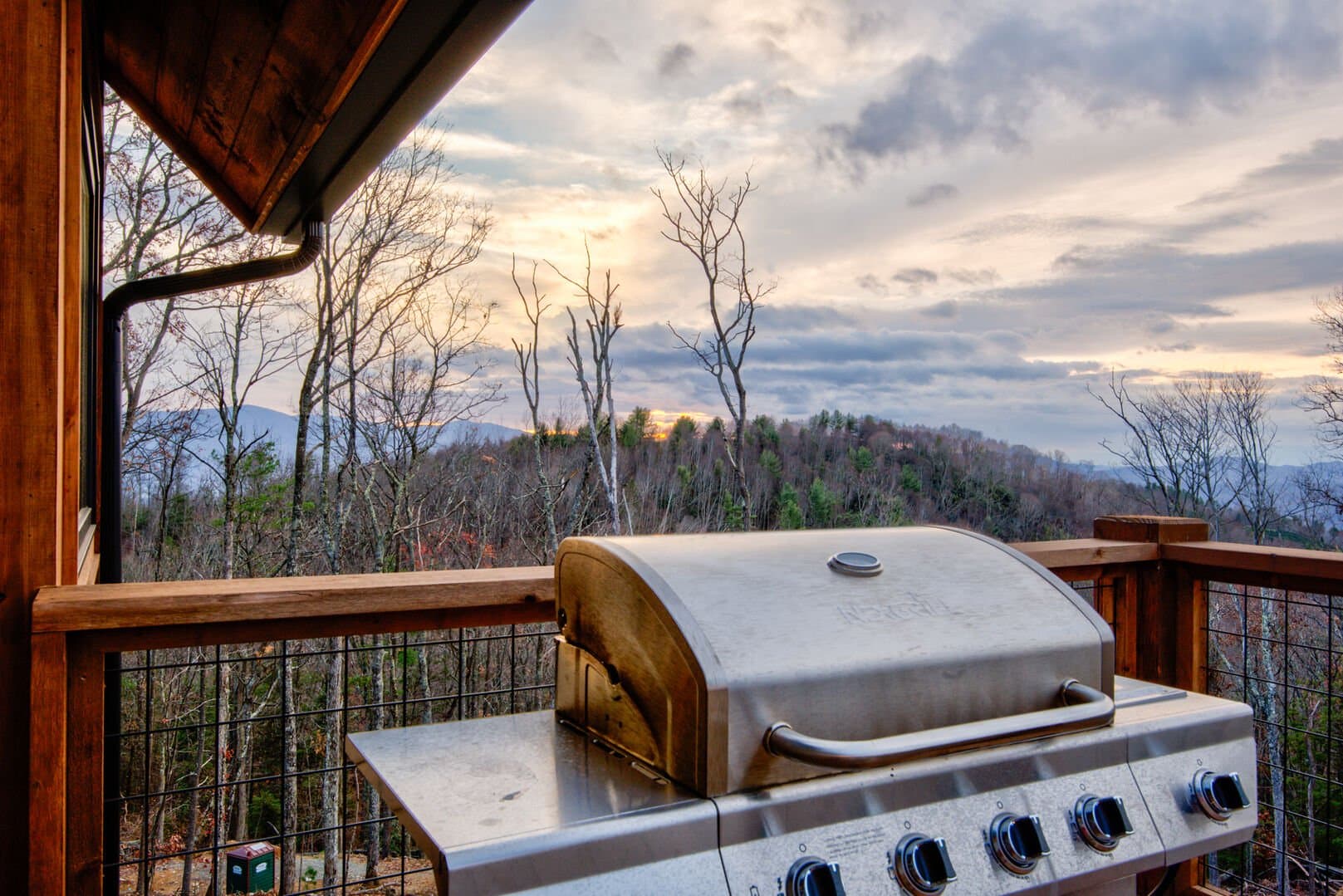 Dire Wolf at Eagles Nest - Image 44