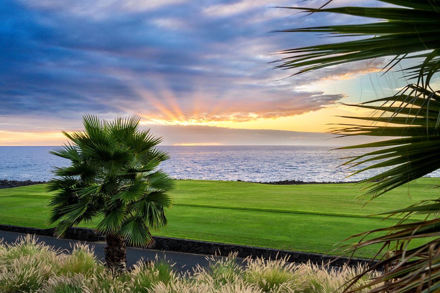 Holua Kai #32 - Image 40