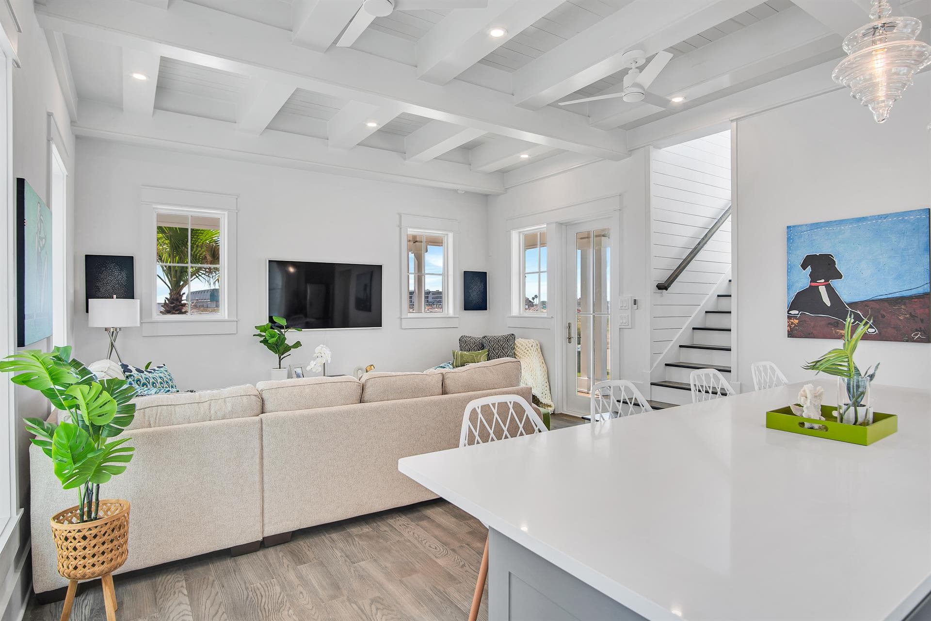 Isle of Dogs - Image 4