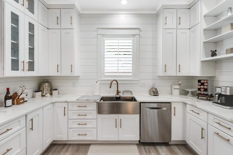 Waterdog I - Image 8