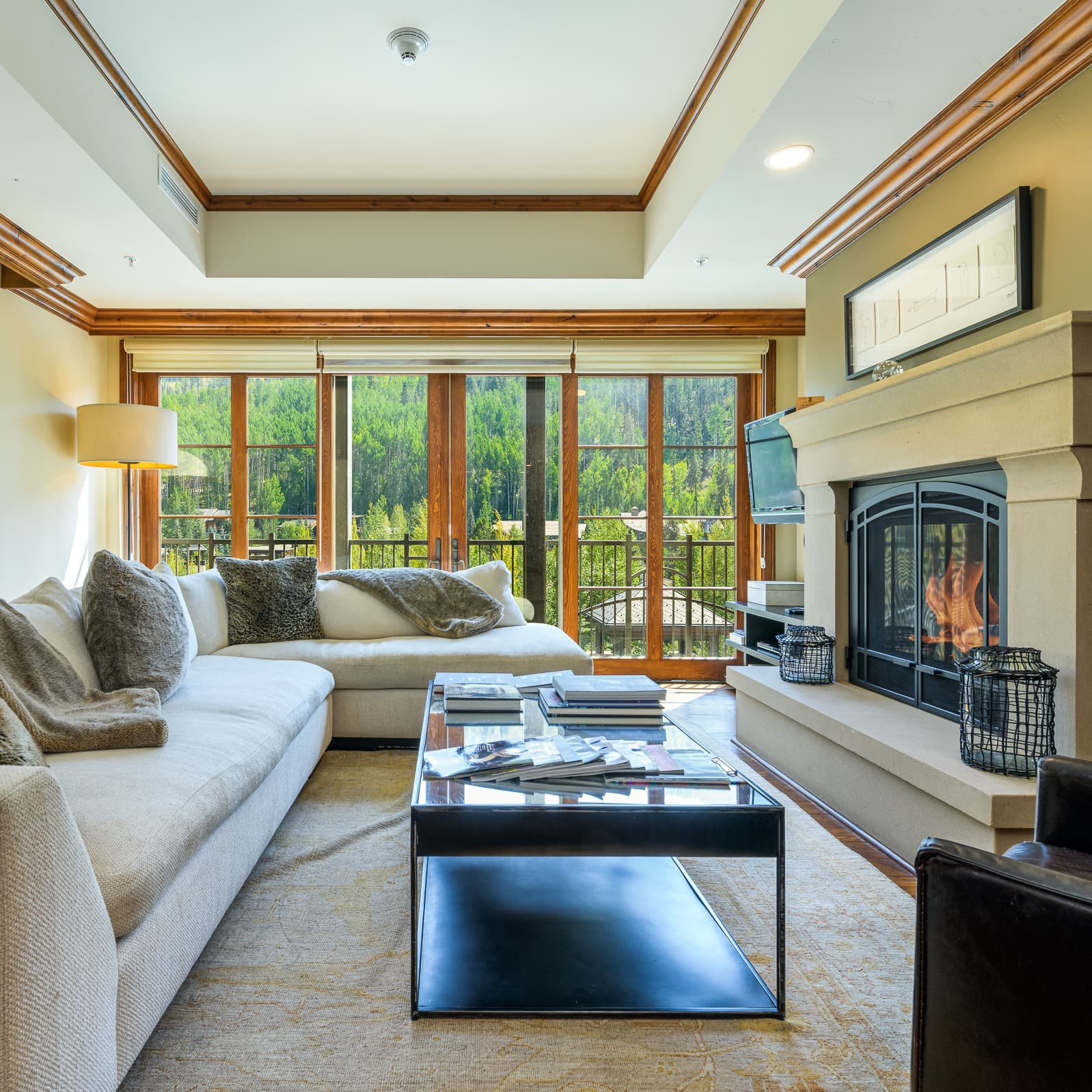 Vista Bahn at the Ritz-Carlton - Image 1