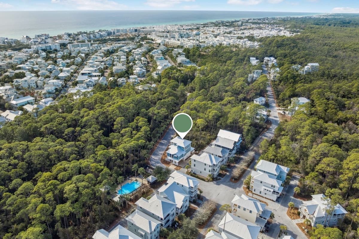 Silver Palm - Image 3