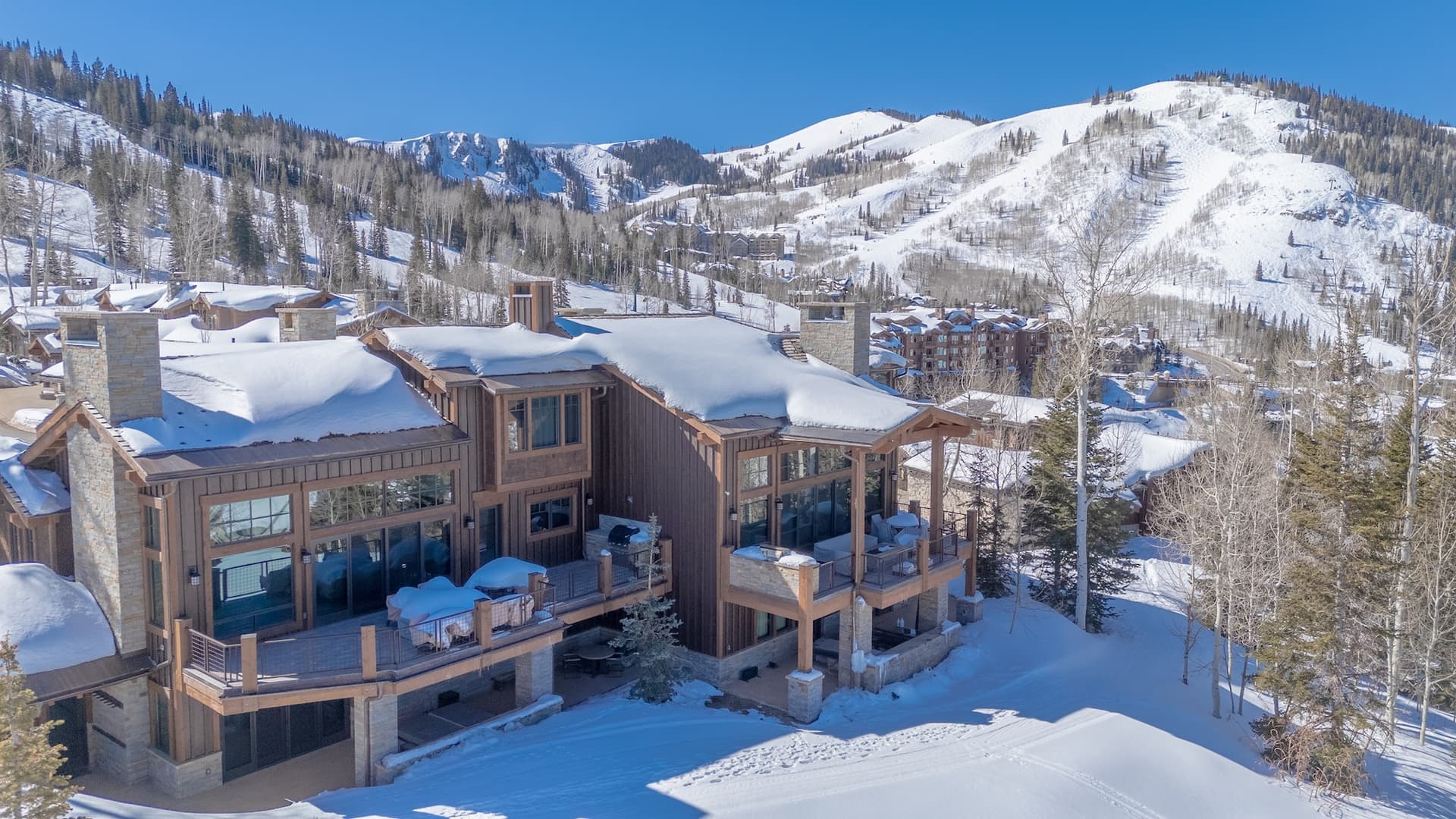 Silver Buck - Image 54