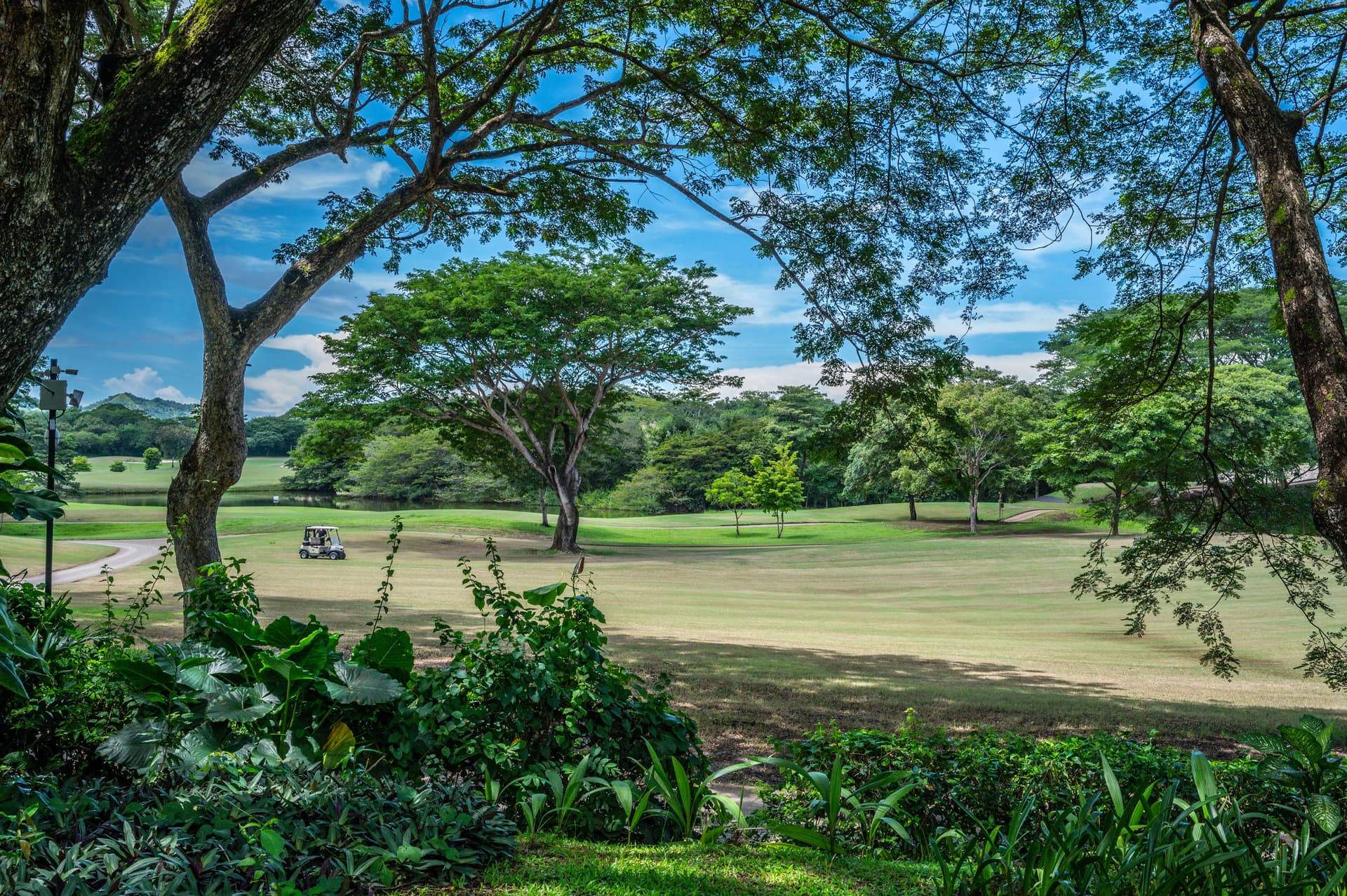 Villa Coral - Image 22