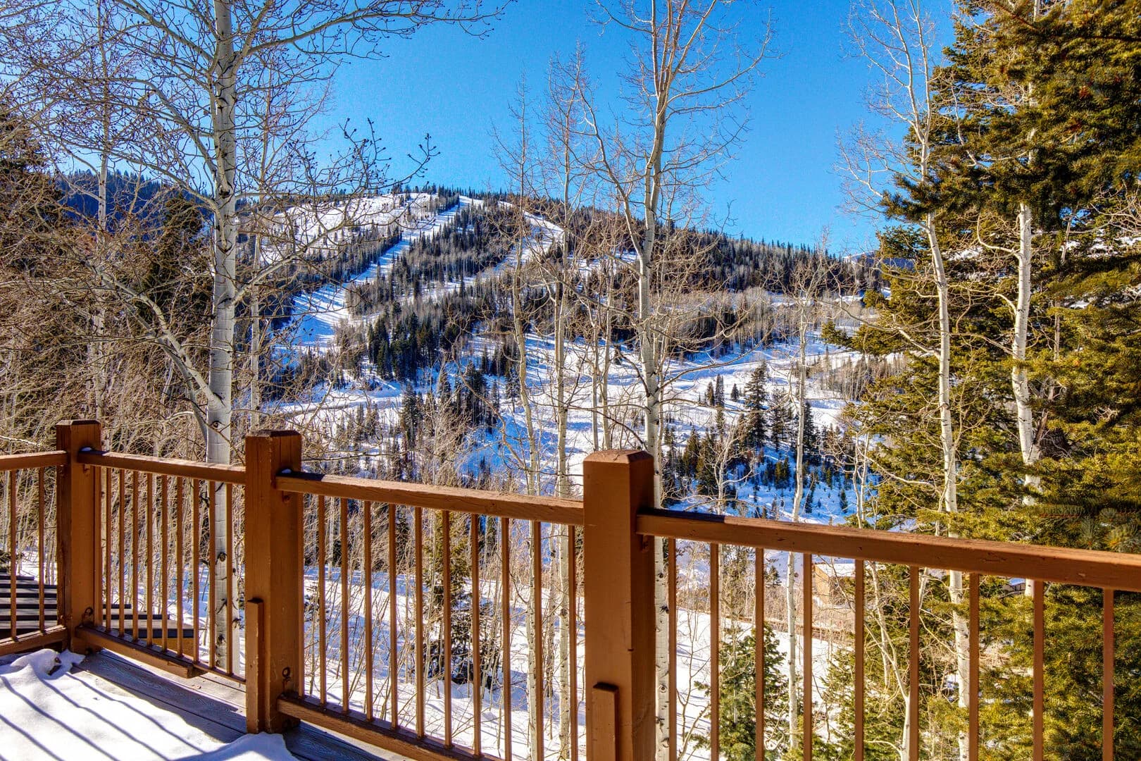 Belle Home - Image 42