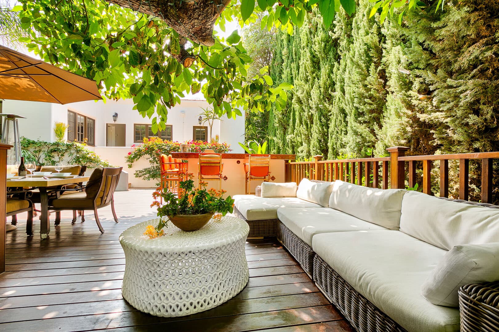 Olive Branch - Image 1