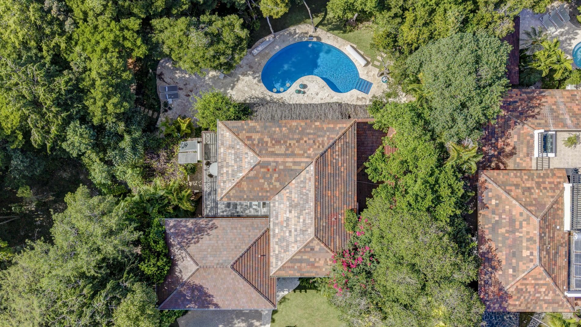 Tortuga #B55 - Image 34