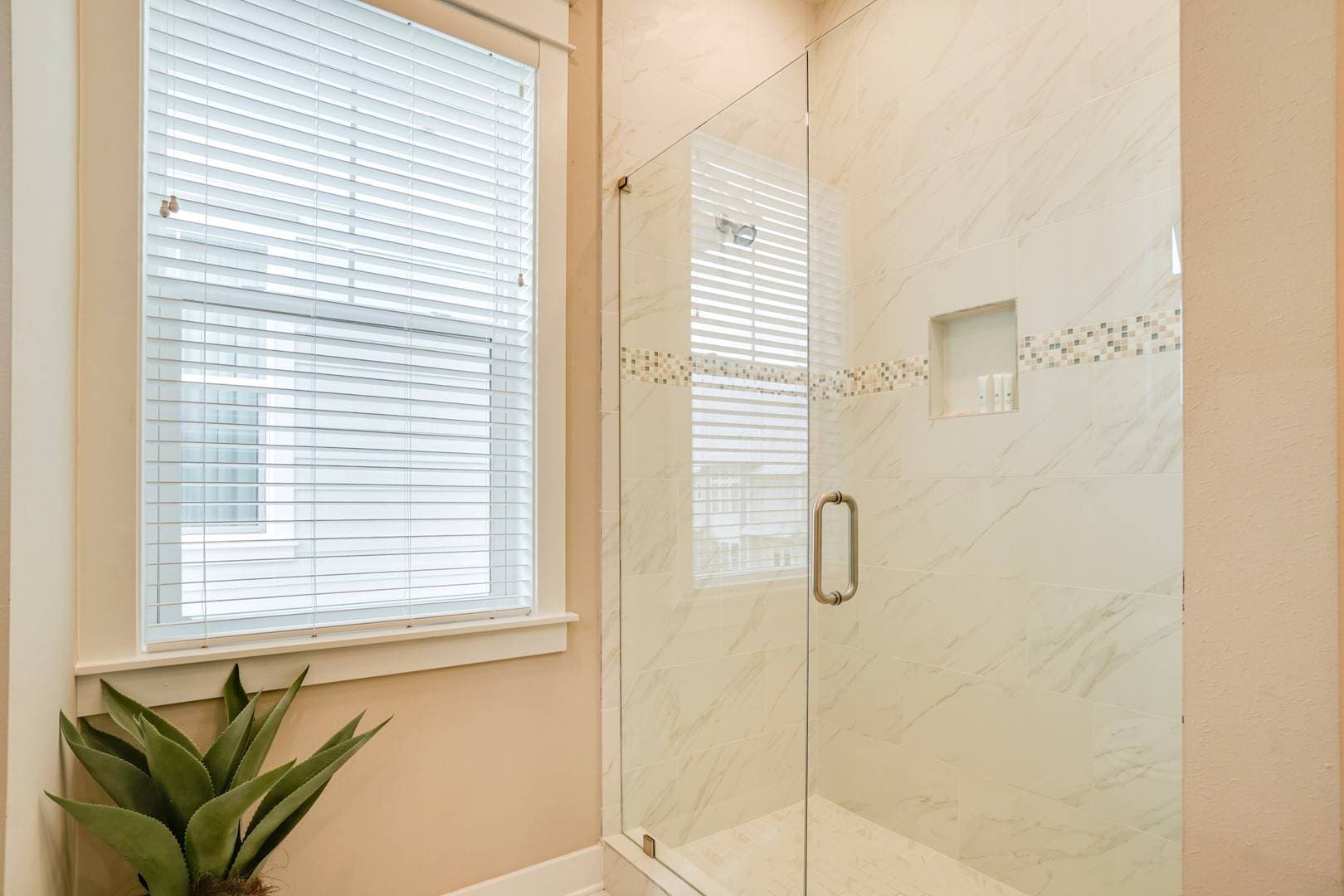 Seas the Day - Image 24