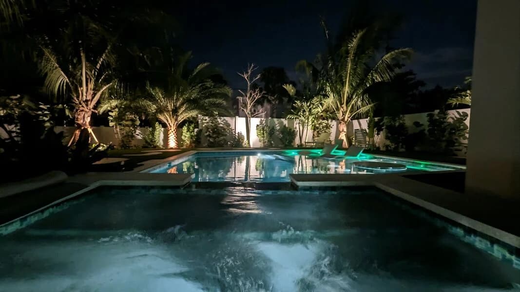 TipSea Turtle - Image 58