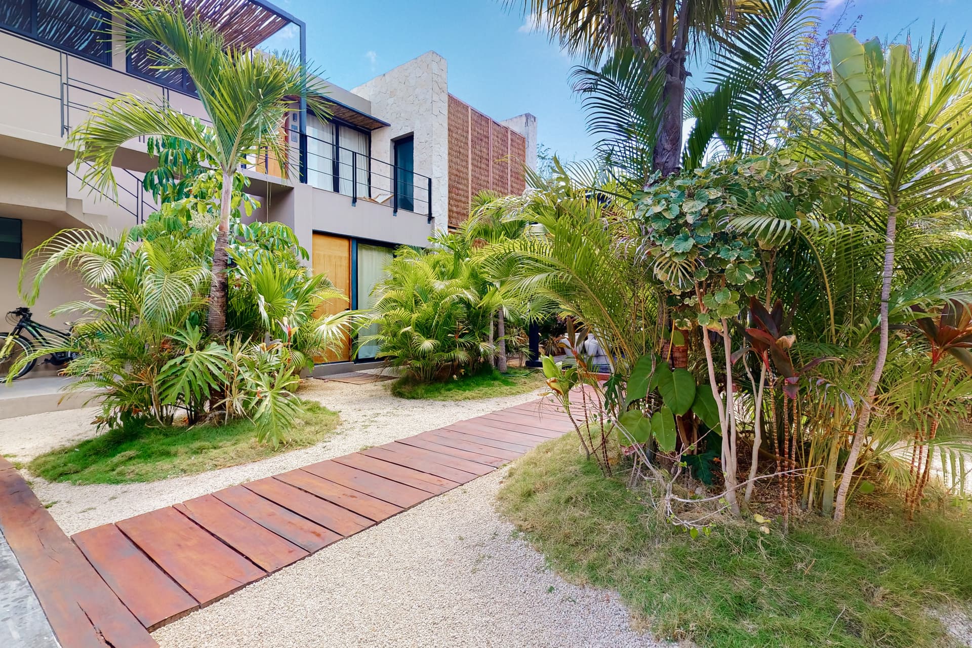 Fronds and Sun - Image 17