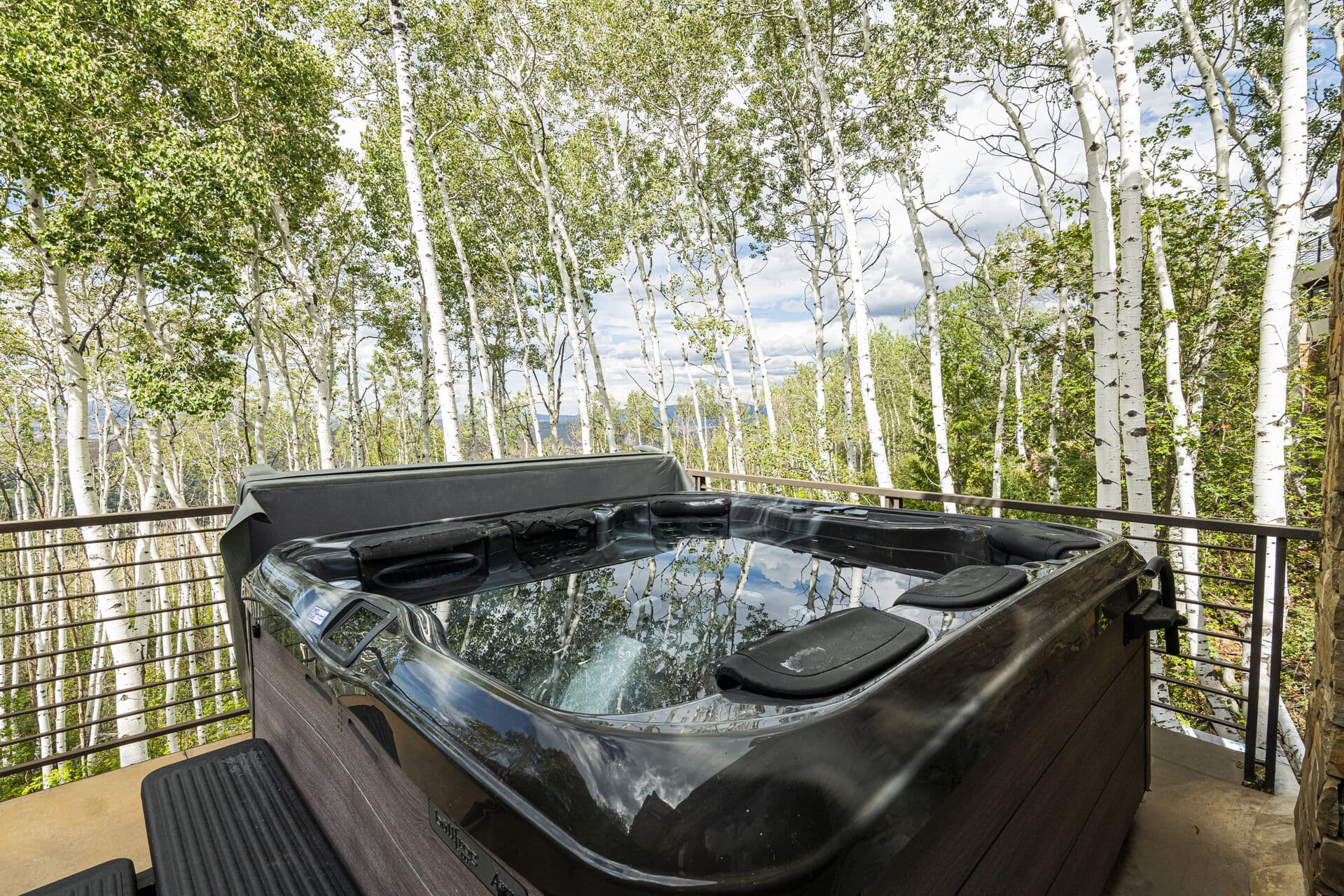 Park City Aspen Contemporary - Image 2