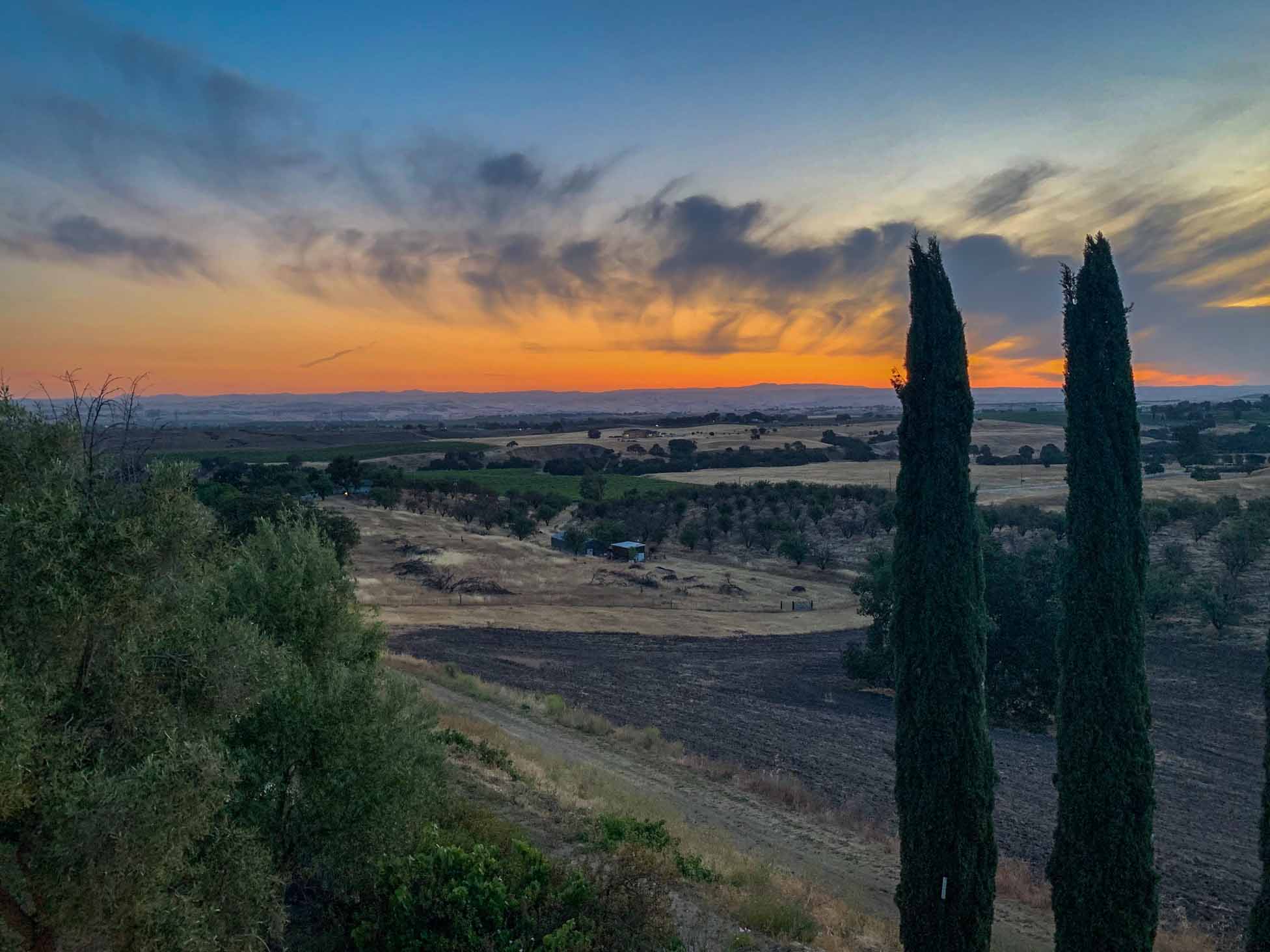 Hidden Acre Vineyard Estate - Image 76