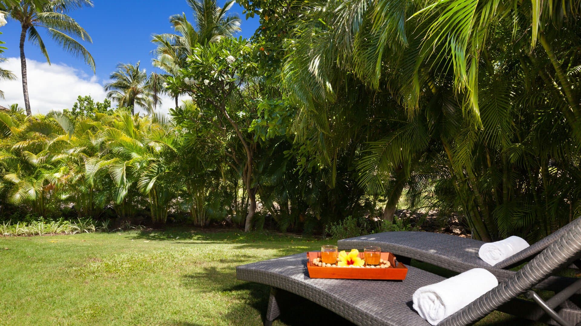 Ocean Wave - Image 33