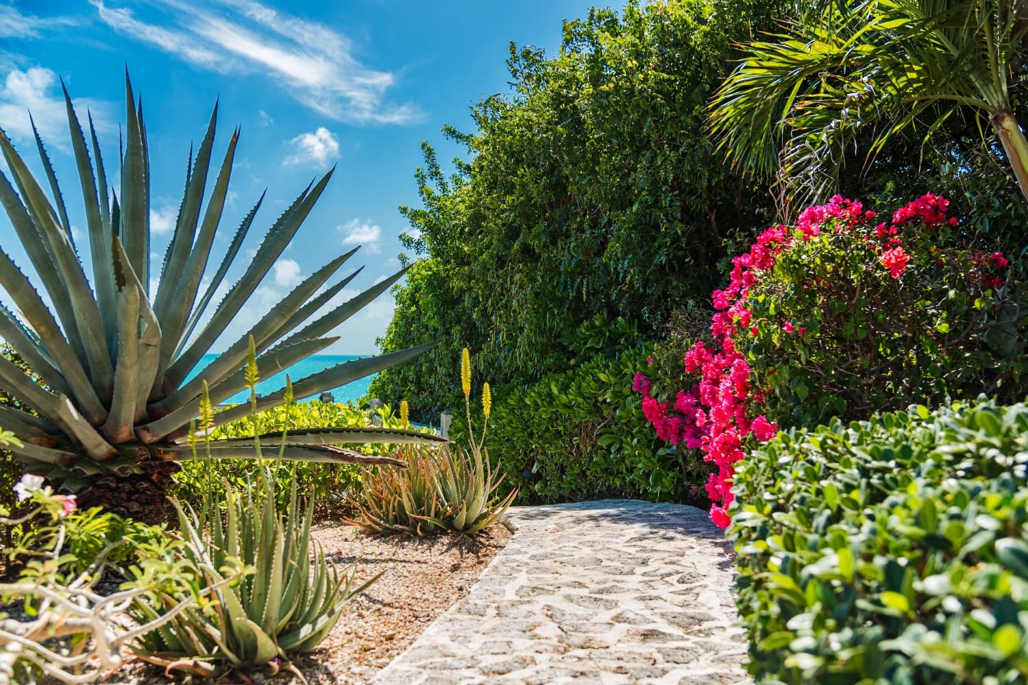 Villa Turquesa - Image 34