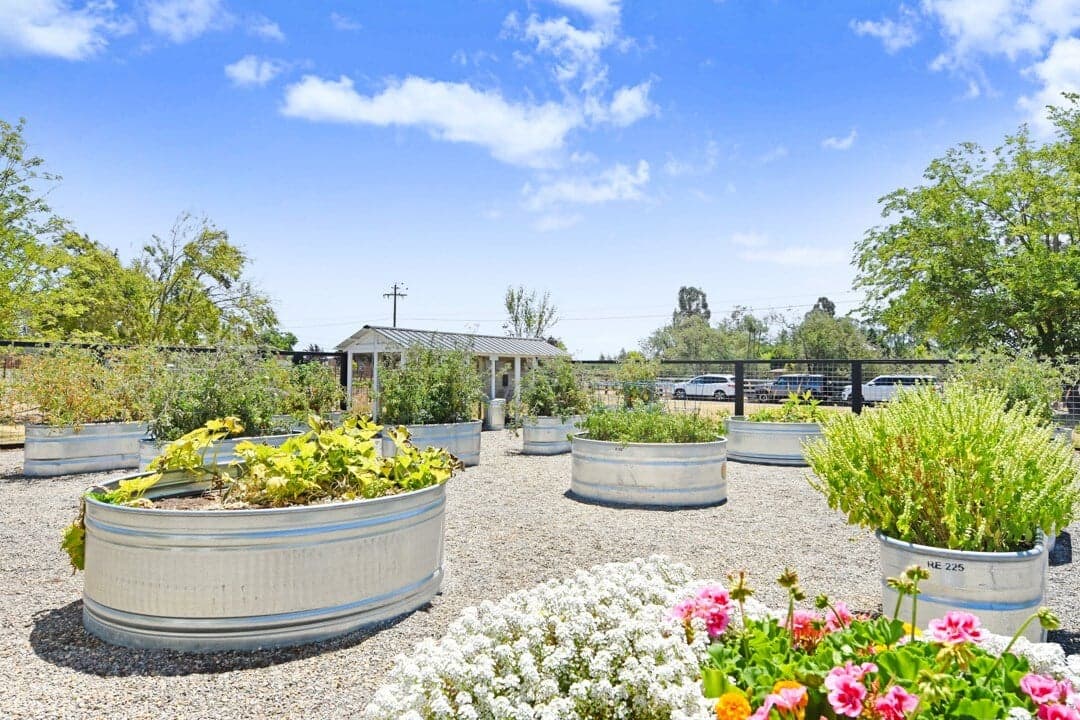 Carneros Farmhouse - Image 33