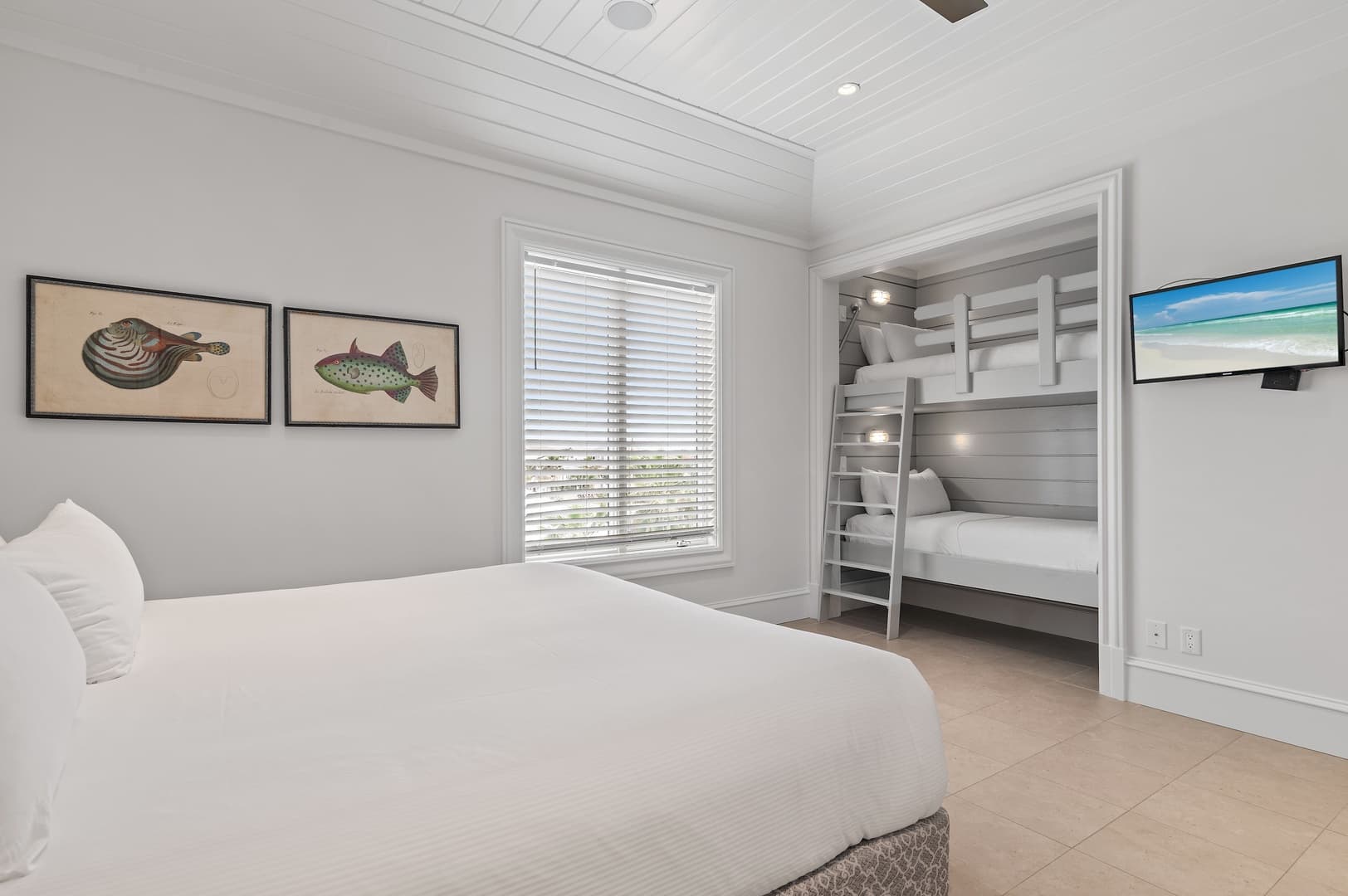 Trip Around The Sun - Image 34