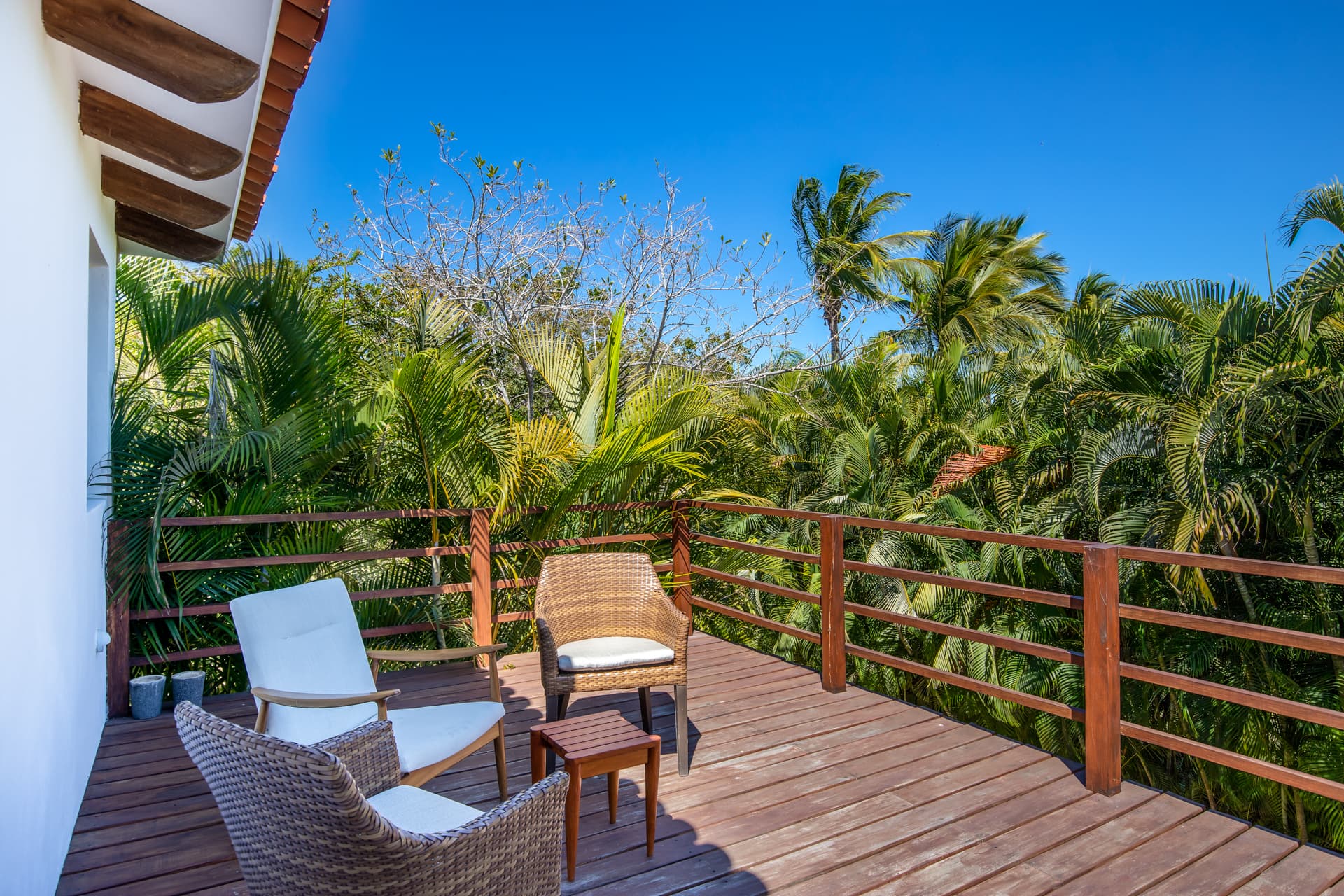 La Serenata #6 - Image 11