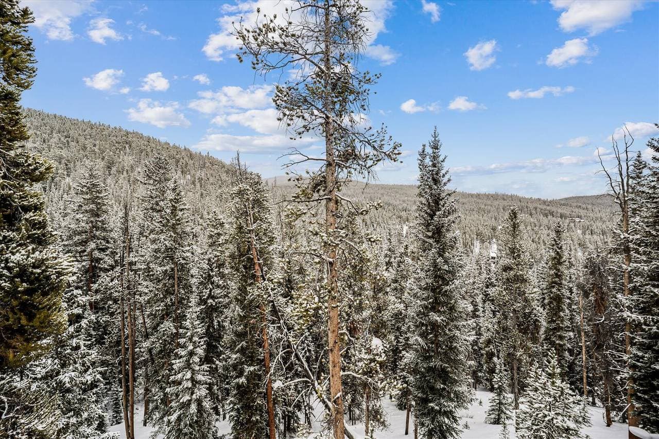Modern Log Cabin - Image 53