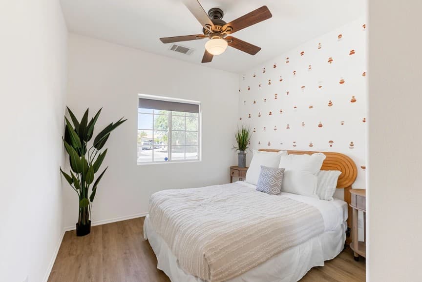 Sunny Palms - Image 15