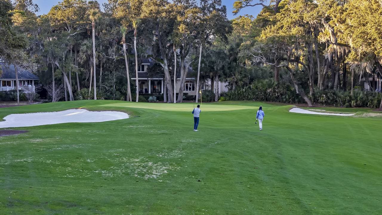 Yellow Throat Lane - Image 56