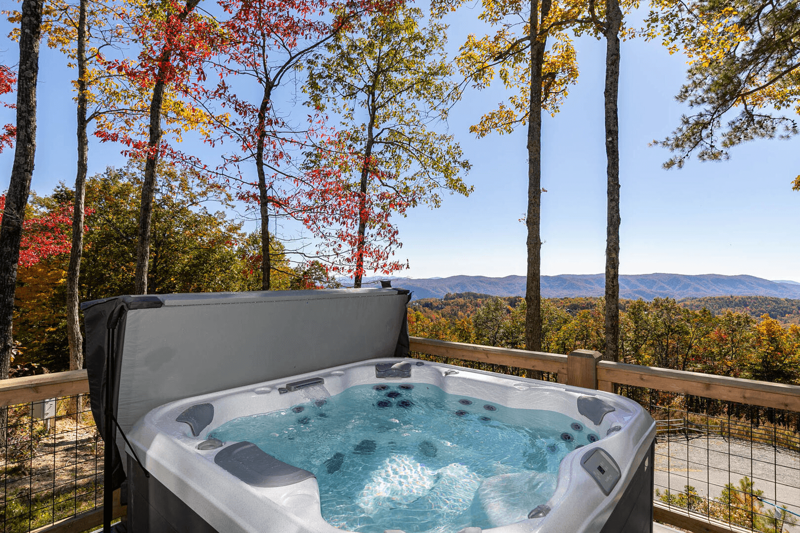 Blue Meadows - Image 3