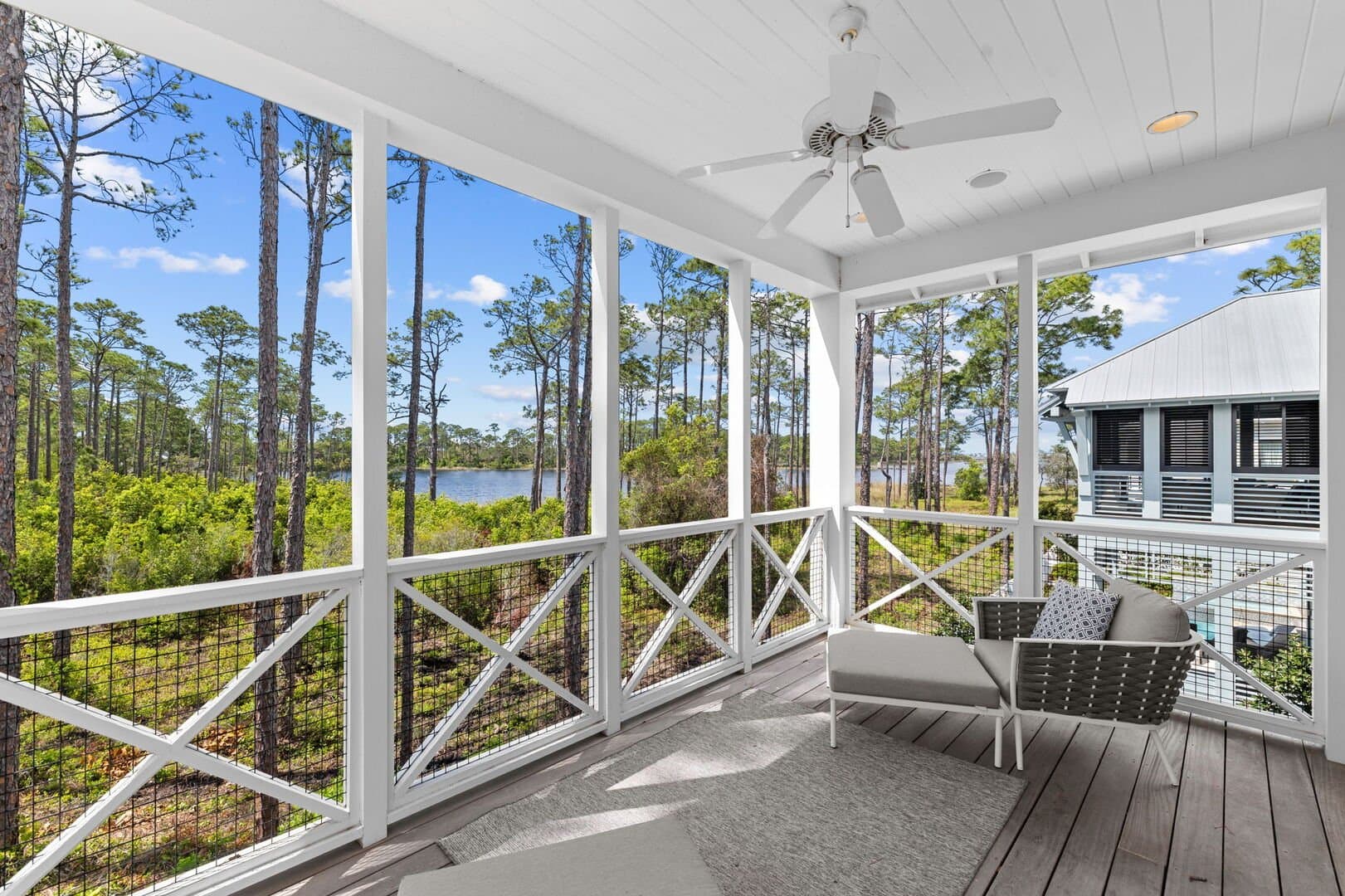 Sand Between Pines - Image 36