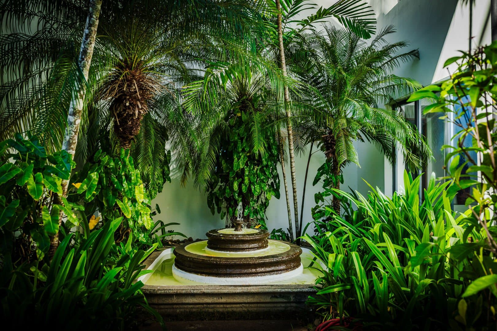 Casa Costa Blanca - Image 54