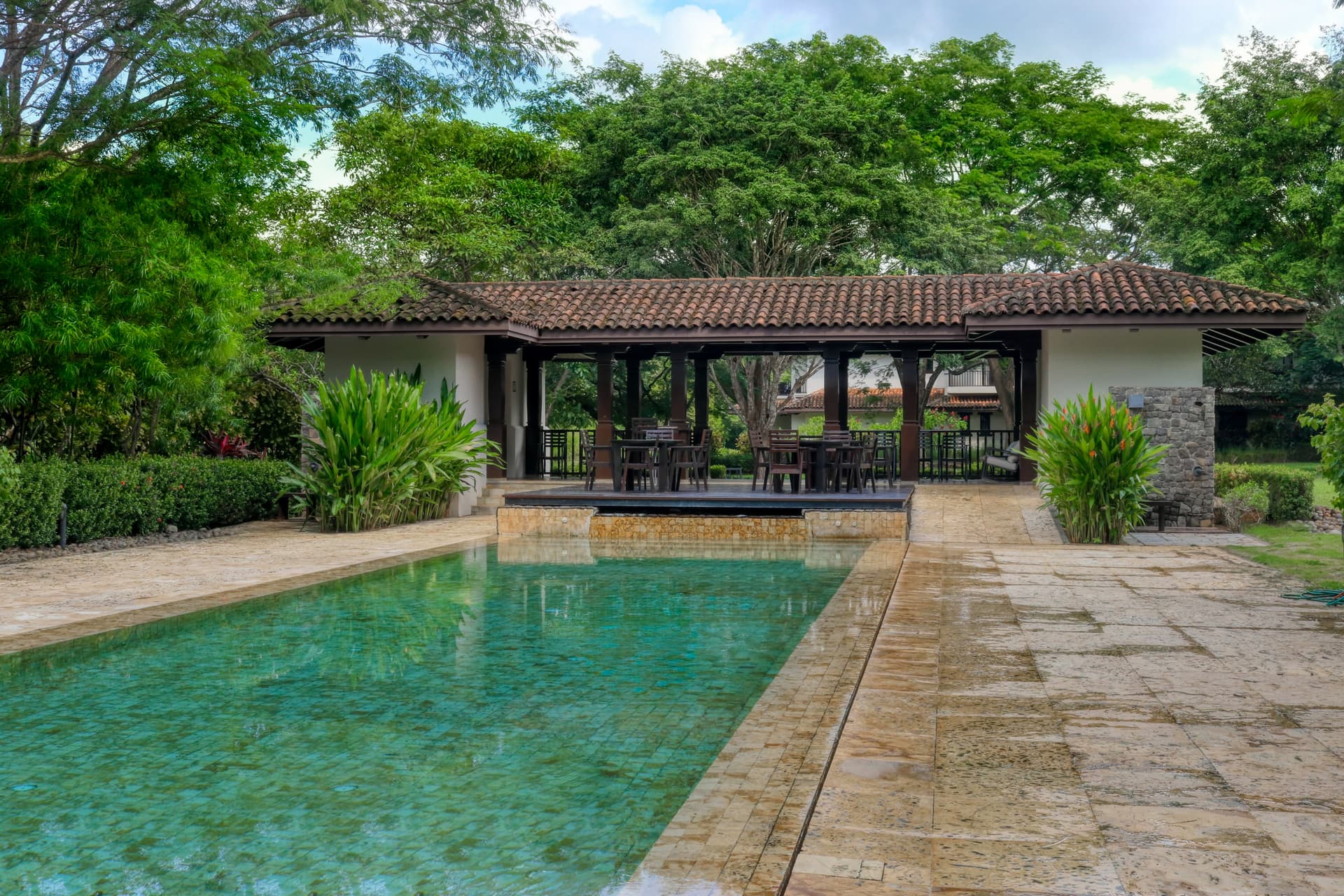 Pinilla Flor de Malinche - Image 2