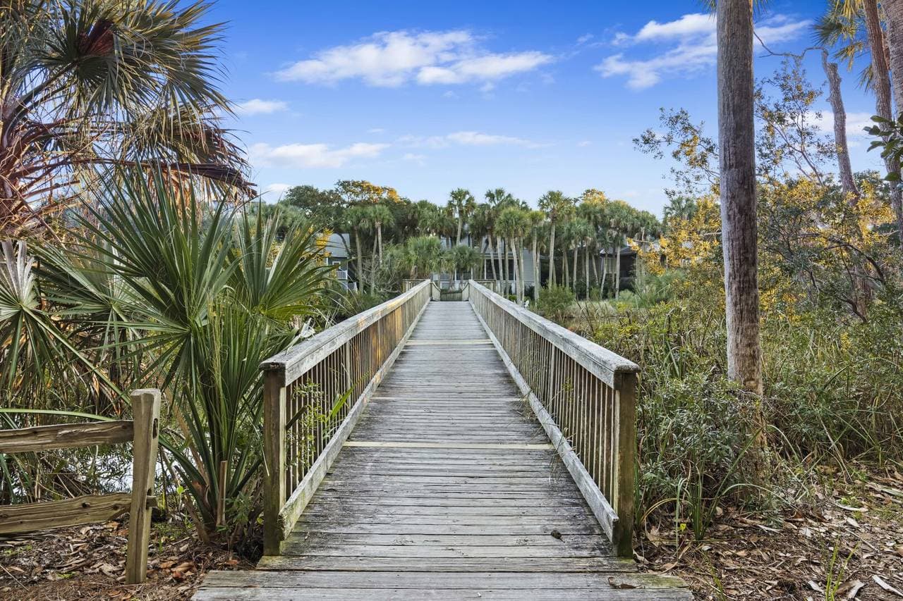 Silver Moss - Image 42