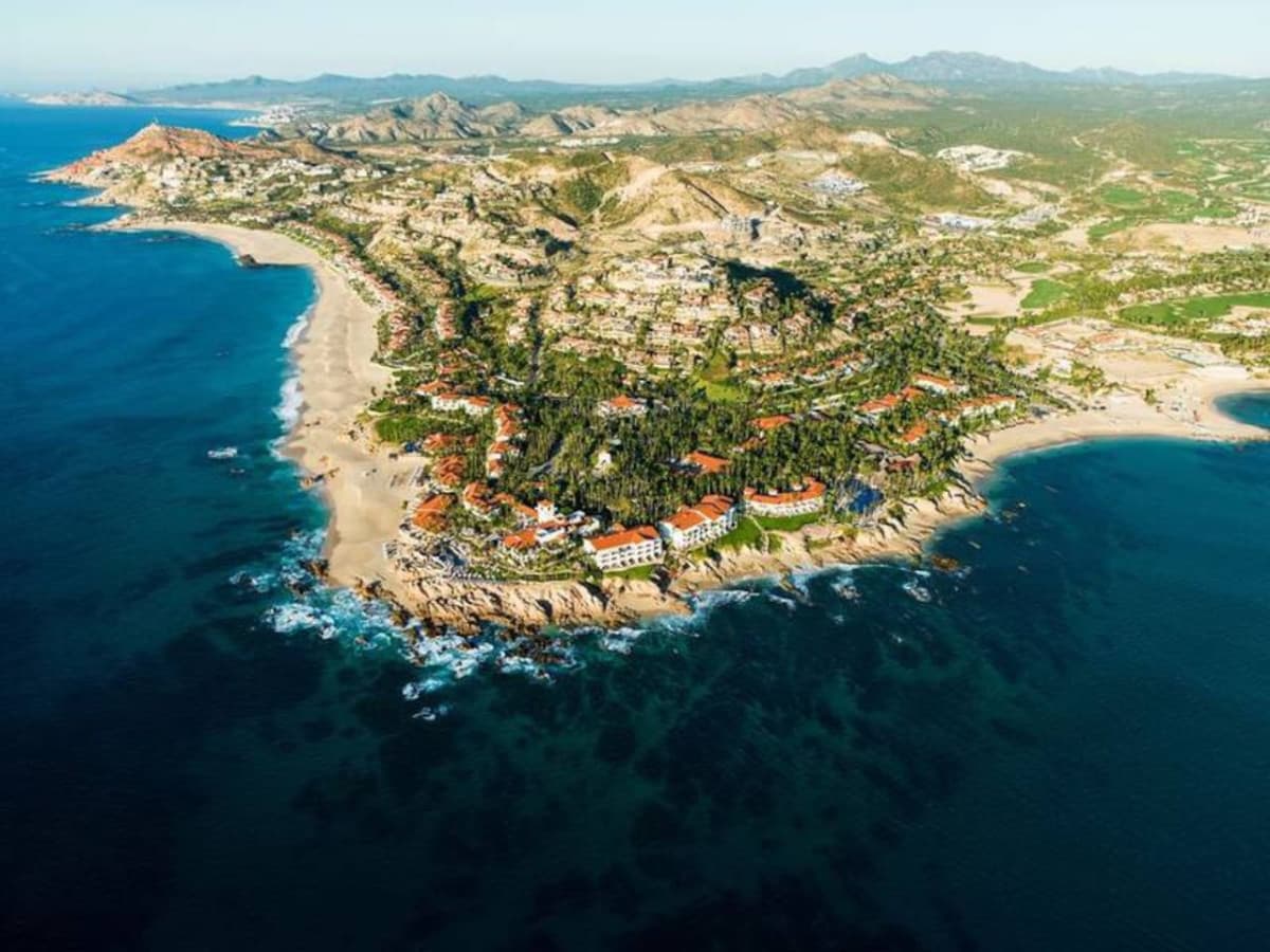 Coco Palma - Image 29