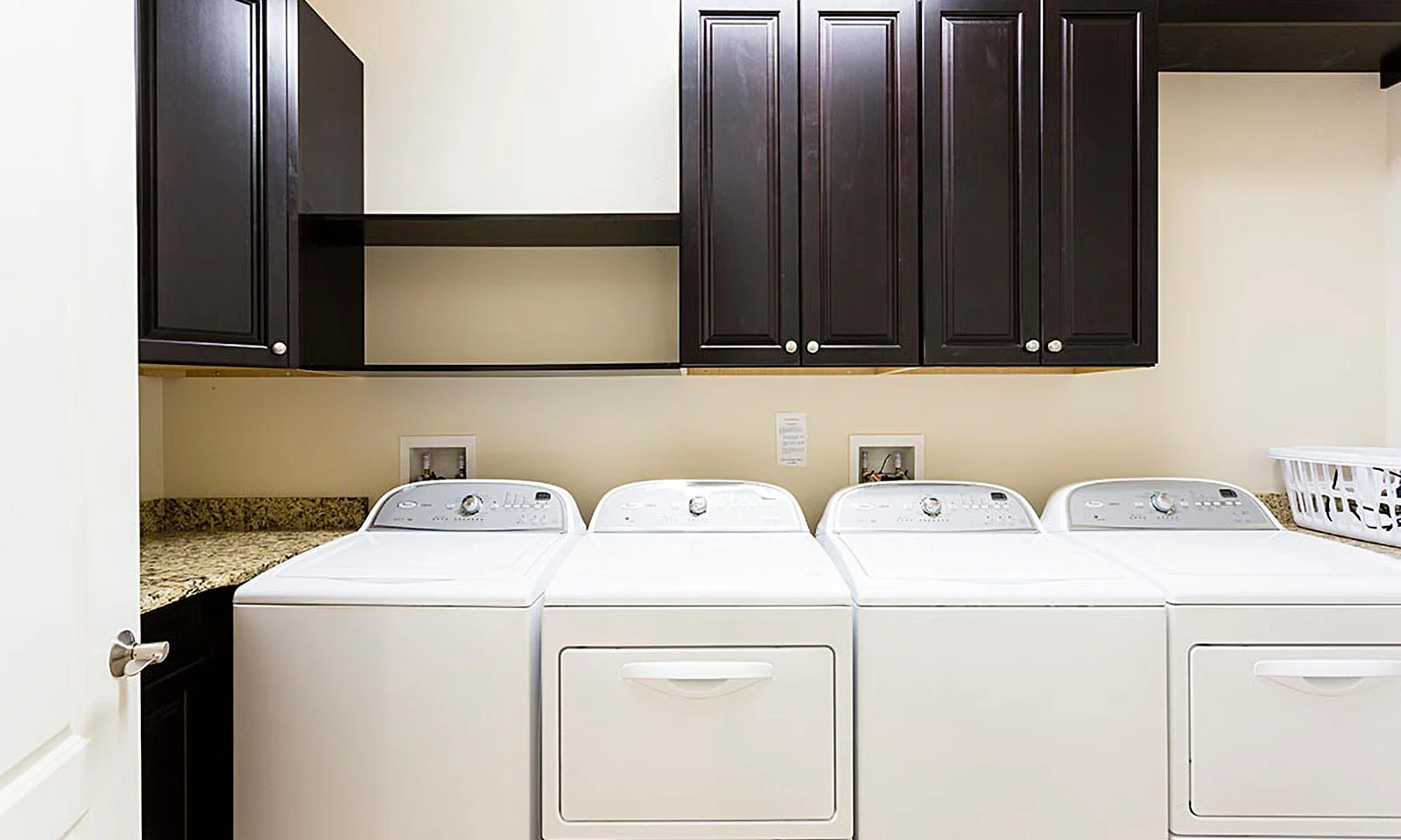 The Outstanding Oasis - Image 51